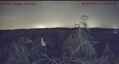 IMG_3833.jpeg