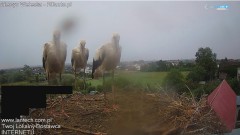 IMG_3654.jpeg