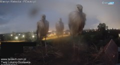 IMG_3824.jpeg