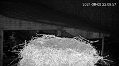 IMG_3839.jpeg