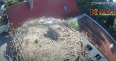 IMG_3840.jpeg