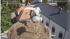 IMG_3593.jpeg