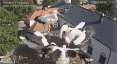 IMG_3623.jpeg