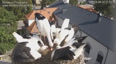 IMG_3625.jpeg