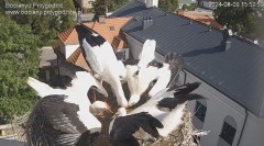 IMG_3639.jpeg