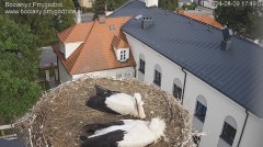 IMG_3648.jpeg