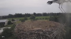 IMG_3851.jpeg