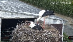 IMG_3594.jpeg