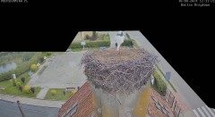 IMG_4043.jpeg