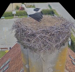 IMG_4050.jpeg