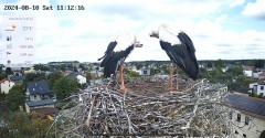 IMG_4007.jpeg