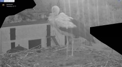IMG_4215.jpeg