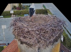 IMG_4198.jpeg