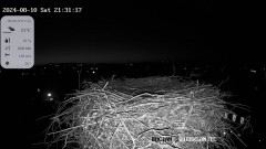 IMG_4237.jpeg