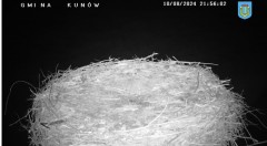 IMG_4240.jpeg