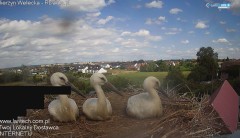 IMG_4111.jpeg