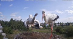 IMG_3990.jpeg