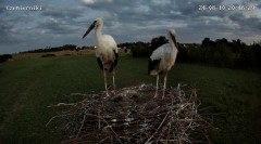 IMG_4248.jpeg