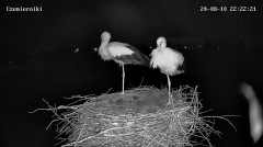 IMG_4247.jpeg