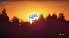IMG_4249.jpeg