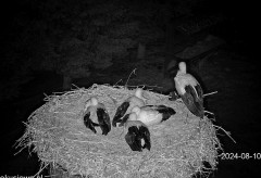 IMG_4250.jpeg