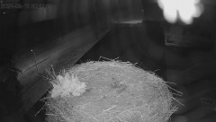 IMG_4256.jpeg