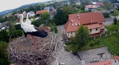 IMG_4026.jpeg