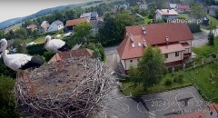IMG_4028.jpeg