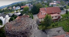 IMG_4029.jpeg