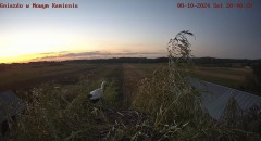 IMG_4261.jpeg