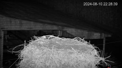 IMG_4285.jpeg