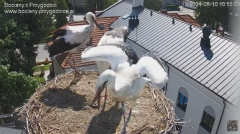 2024-08-10 23_40_55-SOBOTNIE PRZEDPOŁUDNIE , PRZYGODZICE - YouTube – Maxthon.png