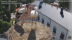 2024-08-10 23_41_04-SOBOTNIE PRZEDPOŁUDNIE , PRZYGODZICE - YouTube – Maxthon.png