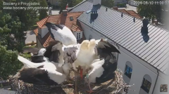2024-08-10 23_40_30-SOBOTNIE PRZEDPOŁUDNIE , PRZYGODZICE - YouTube – Maxthon.png