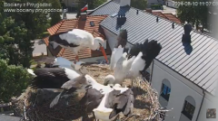2024-08-10 23_40_38-SOBOTNIE PRZEDPOŁUDNIE , PRZYGODZICE - YouTube – Maxthon.png