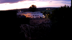 2024-08-10 21_02_01-rtsp___94.40.20.138_554_h264_ch1_main_av_stream - VLC media player.png