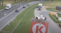 IMG_1477.jpeg