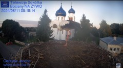 IMG_4321.jpeg
