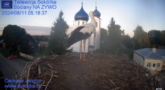 IMG_4322.jpeg