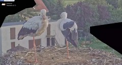 IMG_4485.jpeg