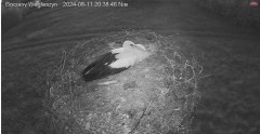 IMG_4495.jpeg