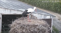 IMG_4522.jpeg