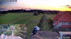IMG_4533.jpeg