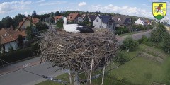 IMG_4434.jpeg
