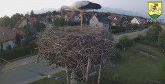 IMG_4501.jpeg