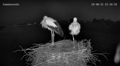 IMG_4544.jpeg