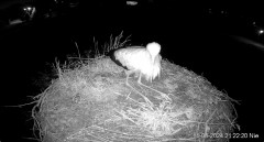 IMG_4548.jpeg