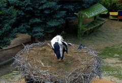 IMG_4360.jpeg