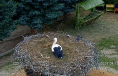 IMG_4370.jpeg