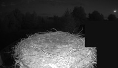 IMG_4515.jpeg